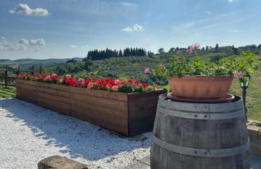 Colle Del Sole - Foto 12