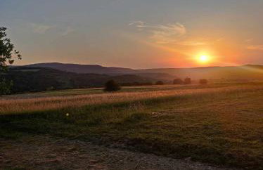 Jabłoniowy Sad Kalwaria Pacławska - Foto 30