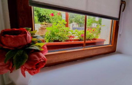 Port of happiness Apartment - Photo 12