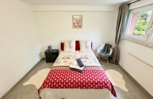 Le Mazal comfort & calm near Strasbourg - Photo 46