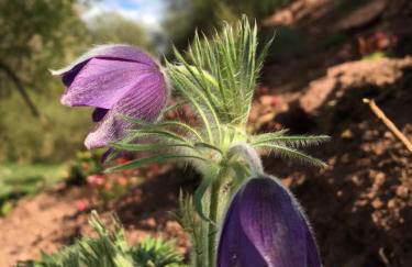 Ferienhaus HAAGALM - Foto 64