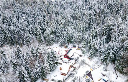 Chata Pod Lasem - Foto 63