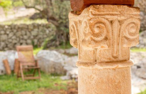 Olive Garden - Foto 23