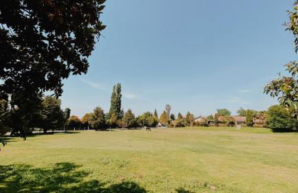 Quinta Do Padrao - Foto 4