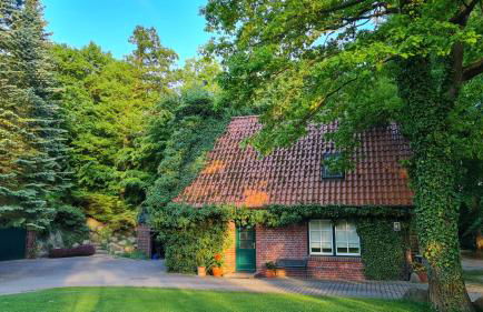 4 Sterne-Haus am See - Foto 7