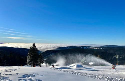 Ferienapartments Erzpanorama - Foto 53