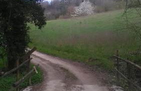 Il Gelso Rosso - Foto 12