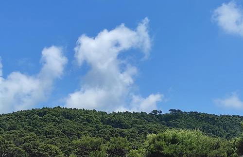 Deluxe Romantic Suite - Foto 14