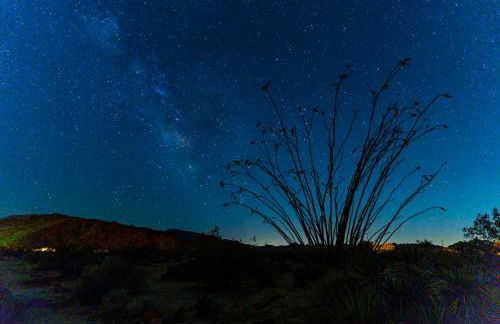 Skelton Compound - Foto 38