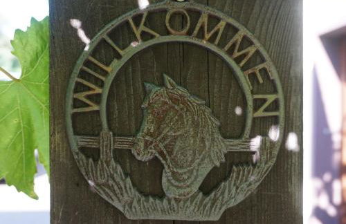 Ferienhaus am Leiselbach - Foto 17