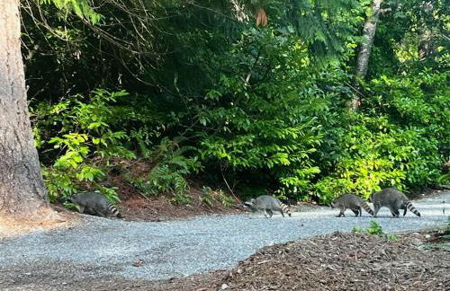 Whispering Pines Farmhouse - Foto 23