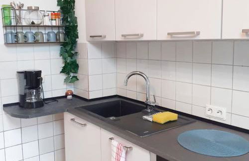 Spacious Apartment for Traveler and Fitter - Photo 3