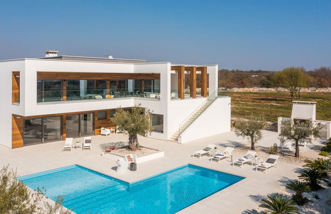 Old Olive VIII - Foto 44