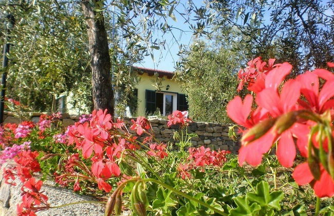 Agriturismo il Grande Ulivo - Foto 1
