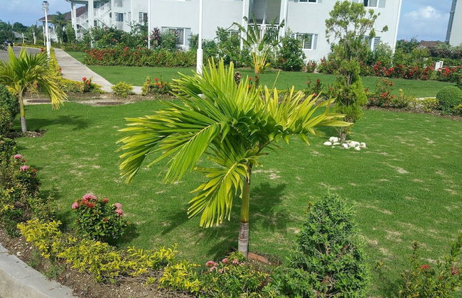 Oceanic View Apartment at Fern Court - Foto 65