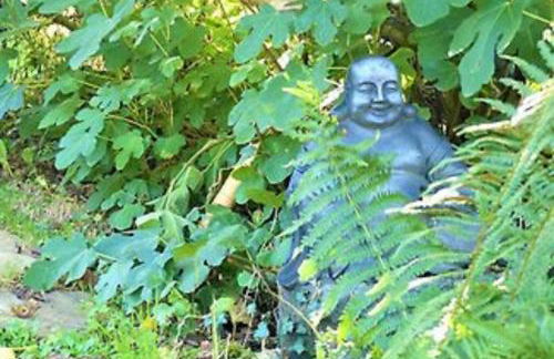 Entre terre et Ocean - Photo 33