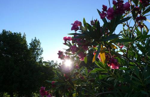 Apartments Smolica - Foto 46