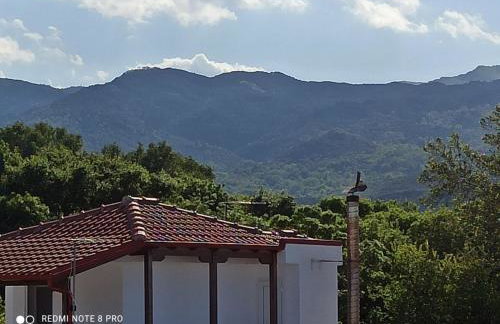 Tommys Apartment - Foto 45