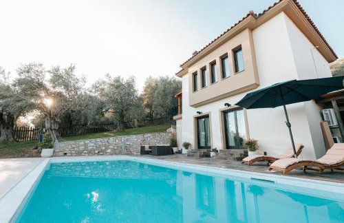 PELIONBLUE VILLAs - Foto 27