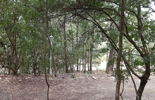 Adventure Holiday in Cilento - Photo 13