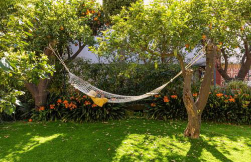 Il Giardino dei Gigli - Foto 17