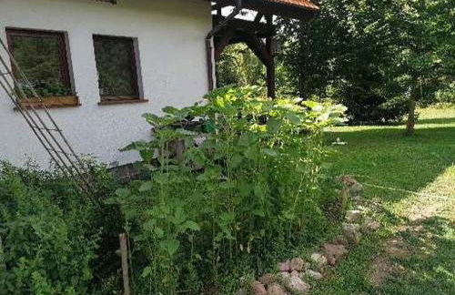 Wyciszek - mazurska agroturystyka - Foto 31