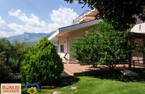 Livingapple - Foto 43