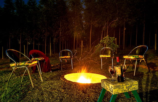 Sítio com piscina e lagoa particular - Photo 40