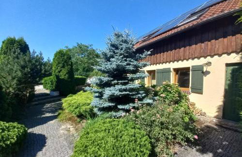 Avalon Połchowo - Foto 28