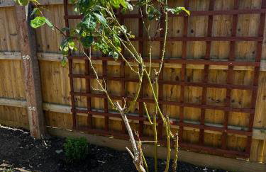 Studio Apartment with spacious garden in Carterton - Foto 10