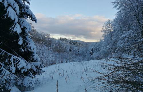 Taunusblick-Meißner - Foto 10