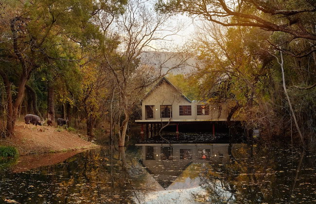 First Group Magalies Park - Foto 63