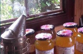 Domki na Górce - Foto 21