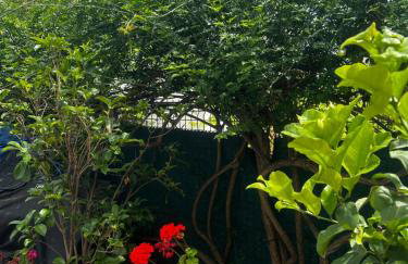 L'Open bord de mer - Foto 8