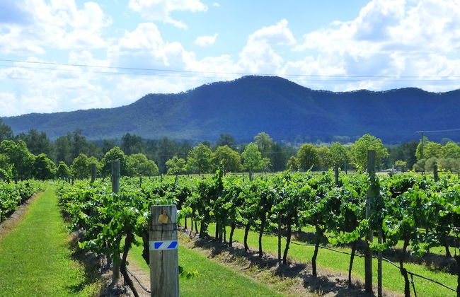 Winmark Wines - Foto 1