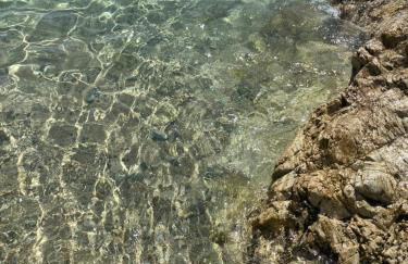 Emozione Blu - Foto 15