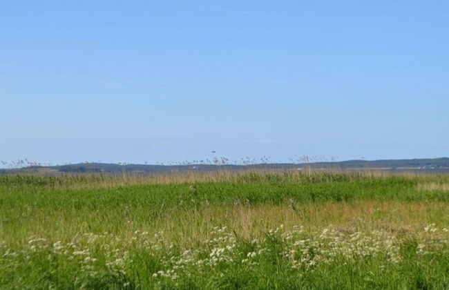 Residence on Lake Balmer - Photo 2