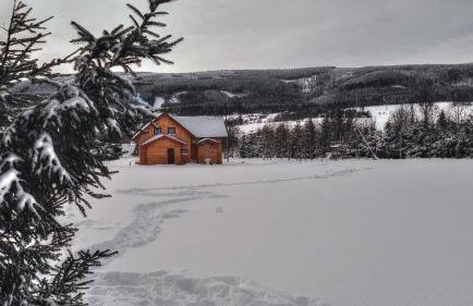 Apartament Zielone Okiennice - Foto 57