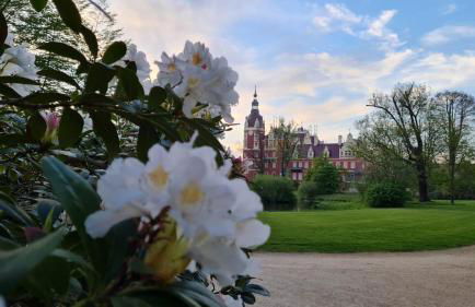 Ferienwohnungen Stricker - Foto 6