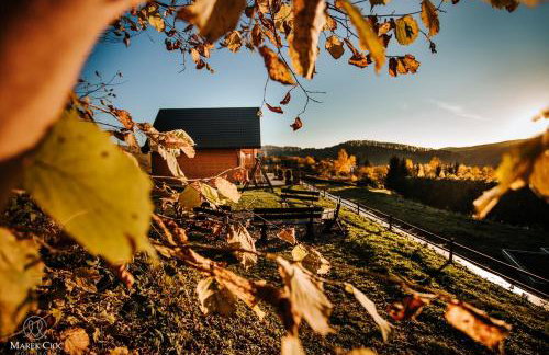 Chaty na Cholewicy Domki Całoroczne - Foto 26