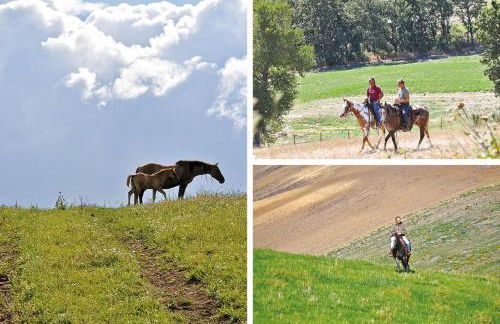 Masseria Straziuso - La Vaccariccia - Foto 43