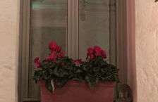 Mèna Mè - Casa vacanza - Salento - Foto 38