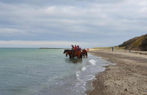 Auszeit im 'Heuboden' am SchilfMeerhof - Foto 24