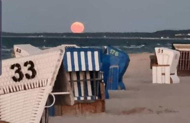 Küstenvilla stilvolle 3Zi FerienWhg mit Terrasse ruhig zentral strandnah 600m - Foto 19