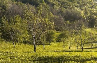 Family friendly house with a parking space Jastrebarsko, Prigorje - 20705 - Foto 12