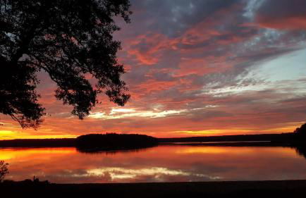 Villa am Stechlin - Foto 19