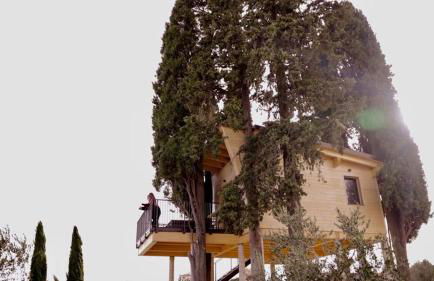 Agriturismo La Masseria - La casa tra gli alberi - Foto 8