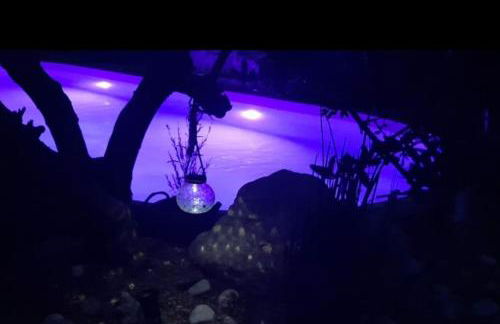 Gers habitation - Photo 67