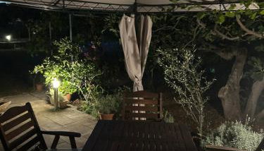 Apartments Irena - Foto 4, Garden, Garden view