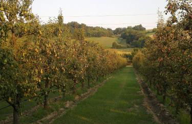 Agriturismo Fonte Carra - Foto 34